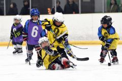 幼年アイスホッケー十勝交流大会