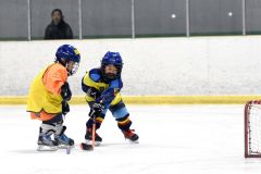 幼年アイスホッケー十勝交流大会