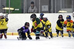 幼年アイスホッケー十勝交流大会