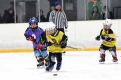 幼年アイスホッケー十勝交流大会