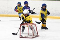 幼年アイスホッケー十勝交流大会
