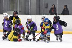 幼年アイスホッケー十勝交流大会
