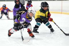 幼年アイスホッケー十勝交流大会