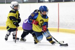 幼年アイスホッケー十勝交流大会