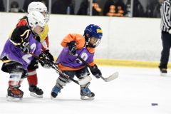幼年アイスホッケー十勝交流大会