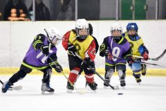 幼年アイスホッケー十勝交流大会