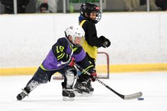幼年アイスホッケー十勝交流大会