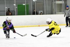 幼年アイスホッケー十勝交流大会