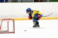 幼年アイスホッケー十勝交流大会