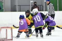 幼年アイスホッケー十勝交流大会