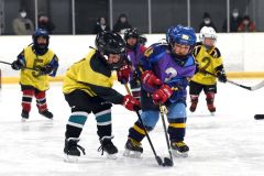幼年アイスホッケー十勝交流大会