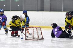 幼年アイスホッケー十勝交流大会