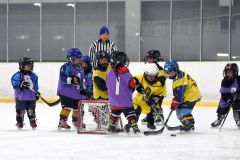 １８人が元気いっぱいにプレー　幼年アイスホッケー十勝交流大会