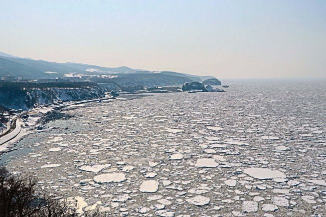 水平線までびっしり 知床で流氷に感激 | 十勝毎日新聞電子版