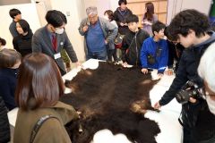 ヒグマの毛皮に触れる来場者（長尾悦郎通信員撮影）