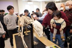 ヒグマの全身骨格標本をじっくりと観察する来場者たち（長尾悦郎通信員撮影）