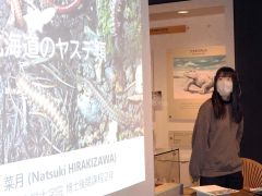 ヤスデの生態を紹介　浦幌町立博物館講座 2