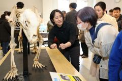 ヒグマの骨格標本は、少し左に首をかしげるように組み立てられている。展示したときに、来場者や子どもと目が合うような工夫だという。中央は標本について説明する鈴木さん