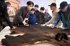 ヒグマの生態を標本から　科学的価値や生態学ぶ