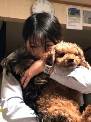 愛犬を抱きかかえる西村笑理菜さん（家族提供）