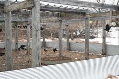 解体が決まった「からす小屋」。町のカラス対策はかつてドラマ化され、注目された