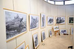 ボールペンで自然を写実的に 伊藤さん22日まで作品展 5