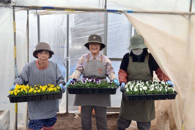 丹精した花苗ぜひ　めむろシニアワークセンター１３日から販売～こぼれ話