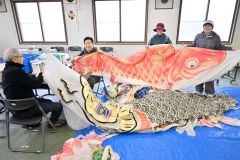 歴舟川の上空を泳ぐ「こいのぼり」を修繕する町シルバー人材センターの会員ら