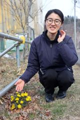 フクジュソウを紹介する田中学芸推進員