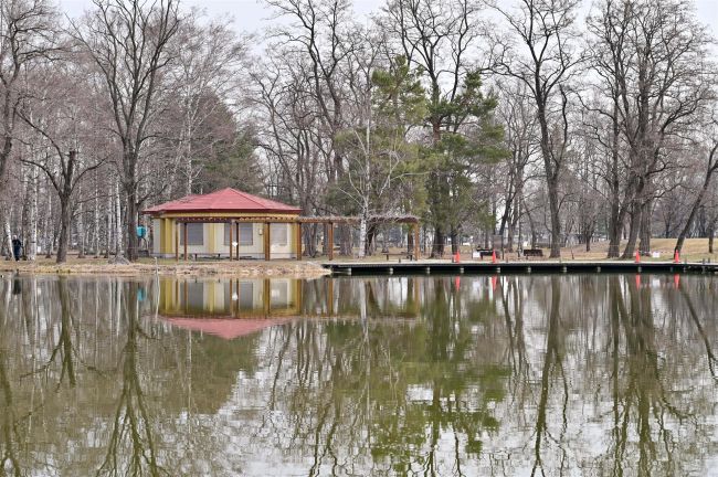 緑ヶ丘公園の売店・ボート事業者が赤字で撤退　今年度の営業は未定