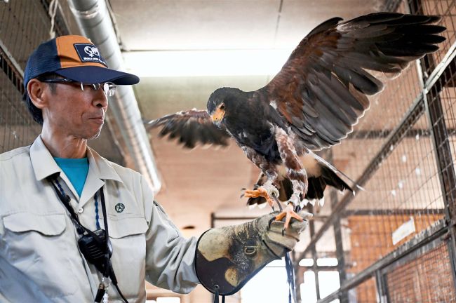 もうすぐ開園、動物も人も準備励む　おびひろ動物園