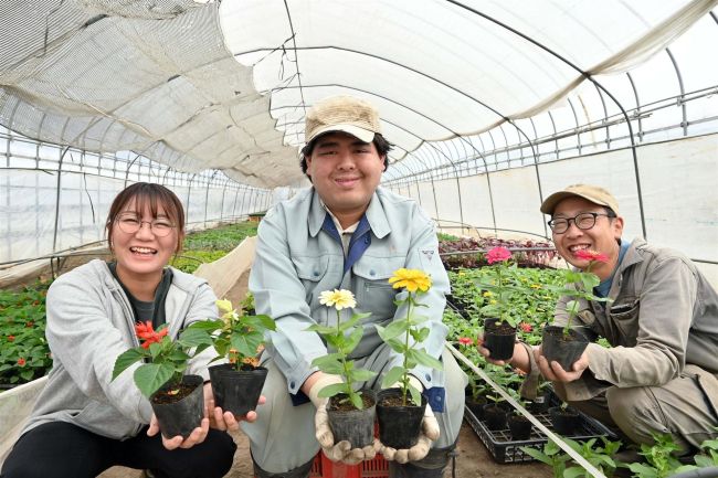 ２９日に野菜と花の苗直売会　帯広ケア・センター