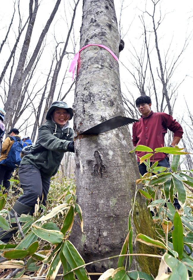 林業に関心を　放置林活用へ「ａｎｏｍｏｒｉ開拓ツアー」初開催　幕別