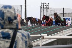 能力検査で第２障害を駆け上がる馬たち（１３日午前８時ごろ）