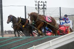 能力検査で第２障害を駆け上がる馬たち（１３日午前８時４０分ごろ）