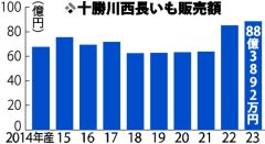 「十勝川西長いも」販売額最高、３・７％増の８８億円　猛暑で生産増もコスト上昇