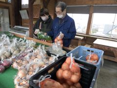 地場産の野菜が並ぶベジタブルショップ