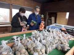 地場産の野菜が並ぶベジタブルショップ
