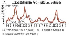 新型コロナ患者数のグラフ