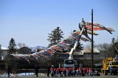 高所作業車を使い川の上を渡されるこいのぼり(18日午前10時半ごろ、須貝拓也撮影)