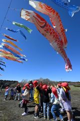 こいのぼりを見て大喜びの園児たち(18日午前10時10分ごろ、須貝拓也撮影)