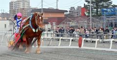 ばんえい開幕　初日から来場者続々 2