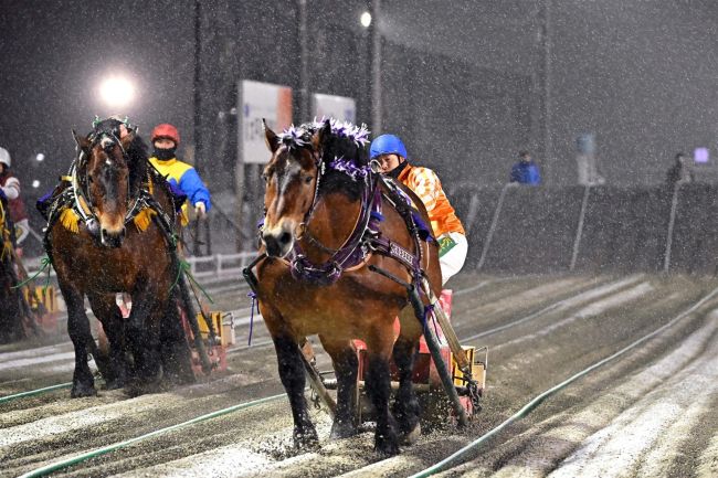 【写真】ばんえいアワード発表 ベストホースは4年連続で…