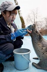 口を開け、西田さんに大人しくブラッシングされるミナ（塩原真撮影）