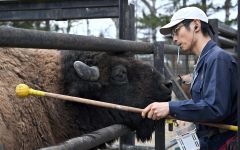 松尾さんがの指示通り、柵に近付くグラン（塩原真撮影）