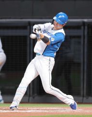 Yahoo!オークション -「日本ハム ファイターズ」(バット) (野球