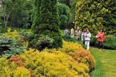 針葉樹を中心とした庭園が特徴（真鍋庭園）
