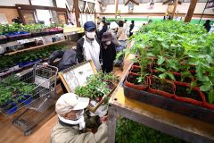 愛菜屋が今季オープン、７０人が開店前に行列