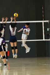 白樺学園男子Ｖ、帯南商女子連覇　バレーボール春季高校リーグ大会 2