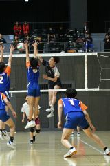 白樺学園男子Ｖ、帯南商女子連覇　バレーボール春季高校リーグ大会 4